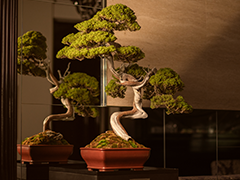 一期一会 縁 内装写真